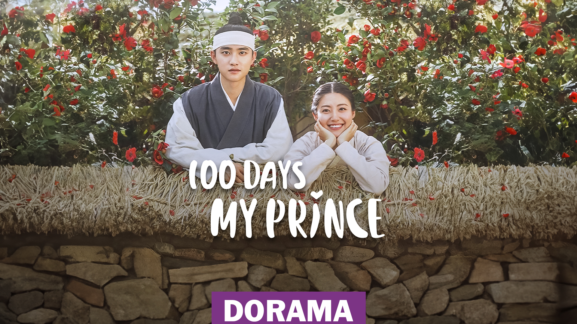 100 dias com meu príncipe, ( 100 Days My Prince )